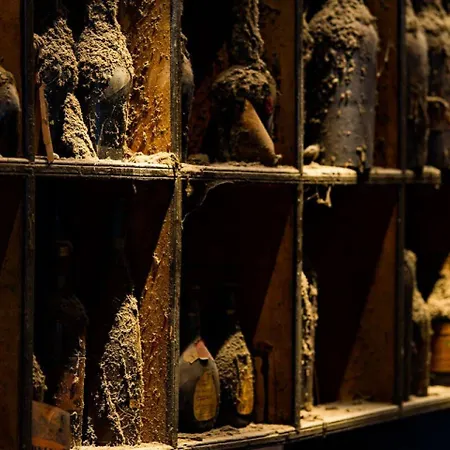 Le Pere Leon 3* טולוז